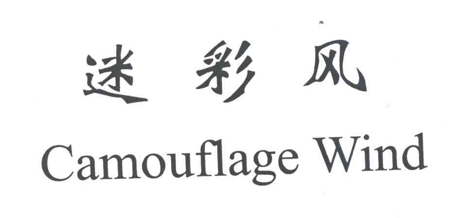 迷彩风;CAMOUFLAGE WIND