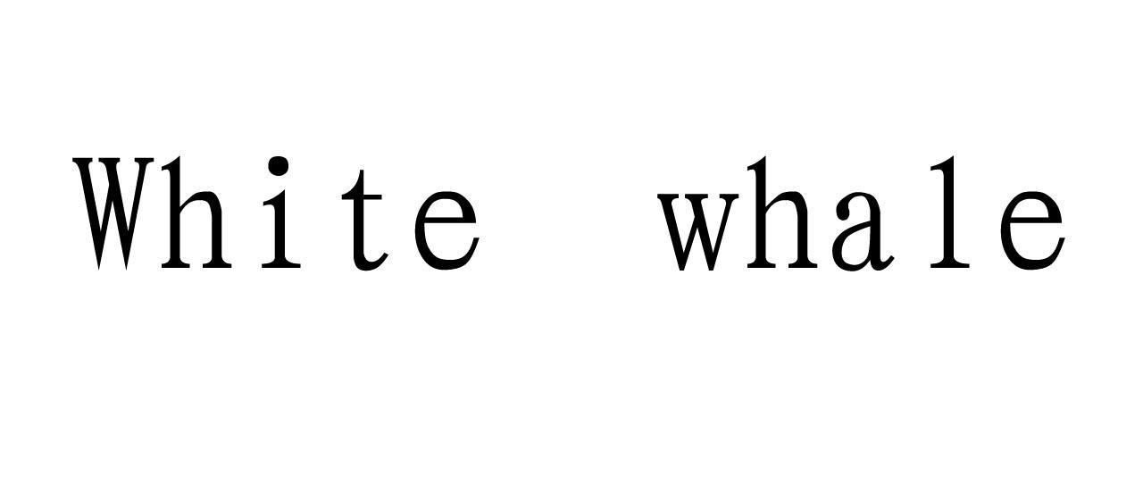 WHITE WHALE