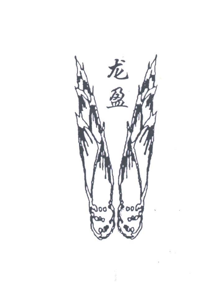 龙盈
