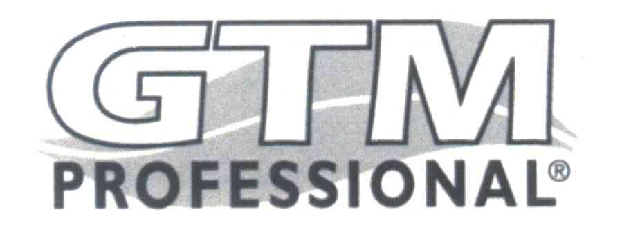 GTM PROFESSIONAL