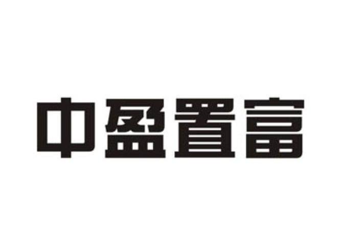 中盈置富