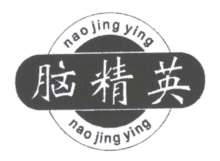 脑精英