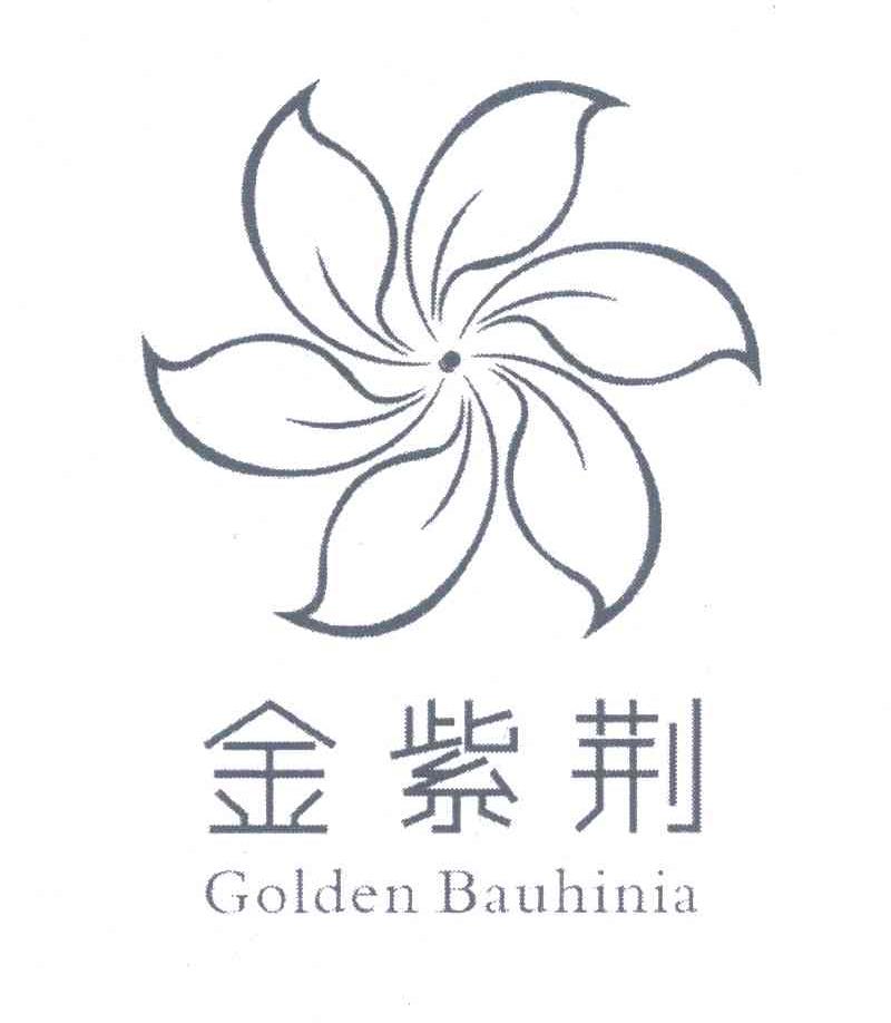 金紫荆 GOLDEN BAUHINIA