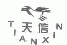 天信