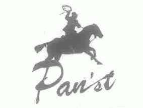 PAN'ST