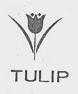 TULIP