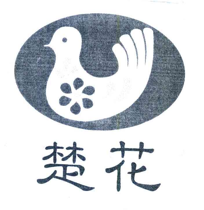 楚花
