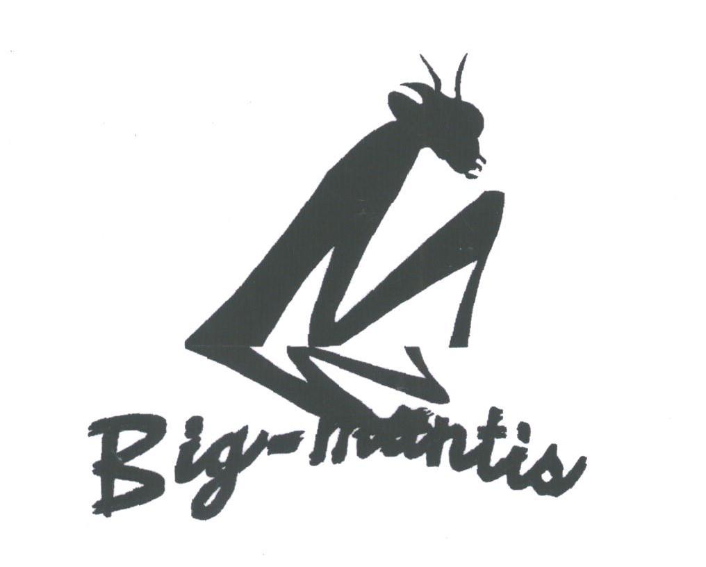 BIG-MANTIS