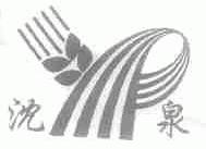 沈泉