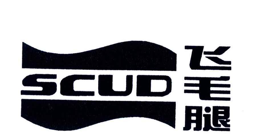 飞毛腿;SCUD