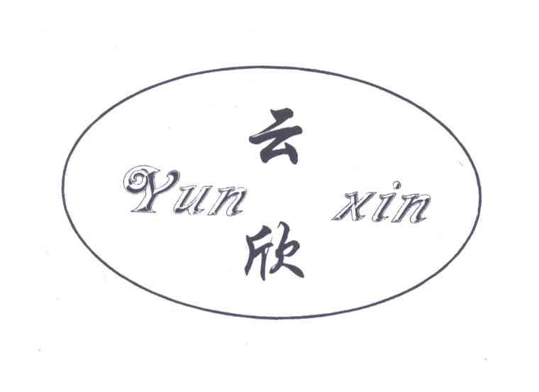 云欣