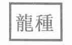 龙种