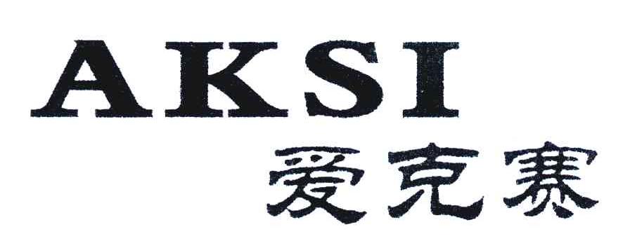 爱克赛 AKSI