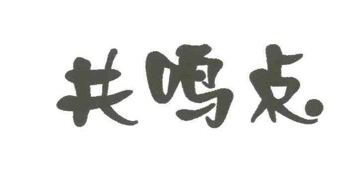 共鸣点
