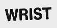 WRIST