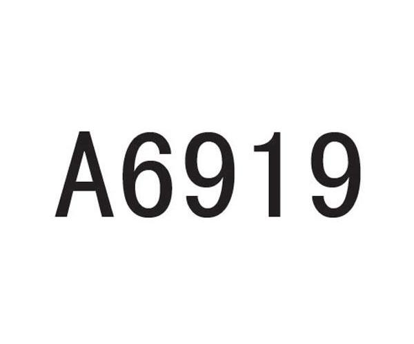 A 6919