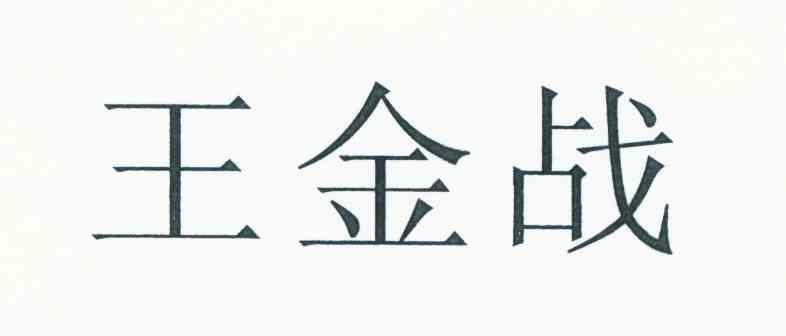 王金战