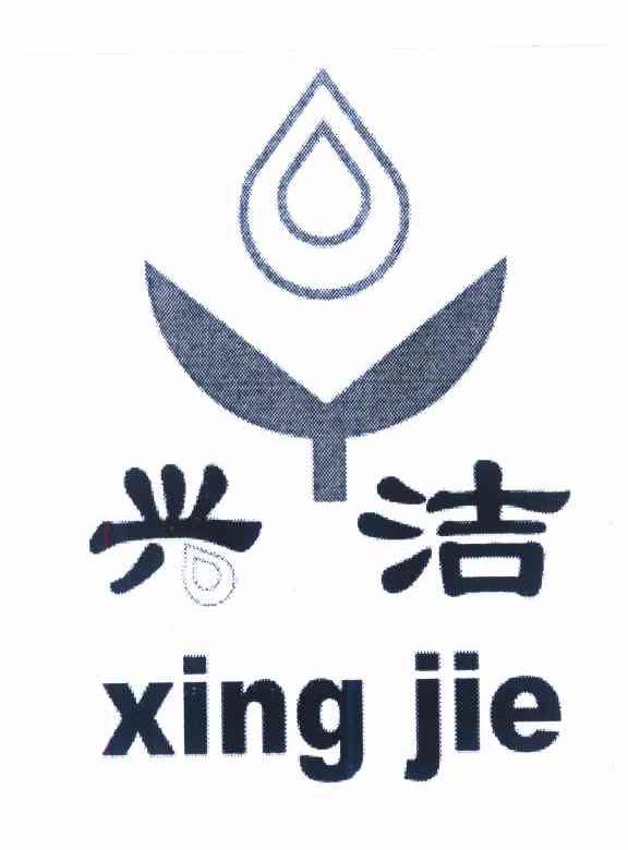 兴洁