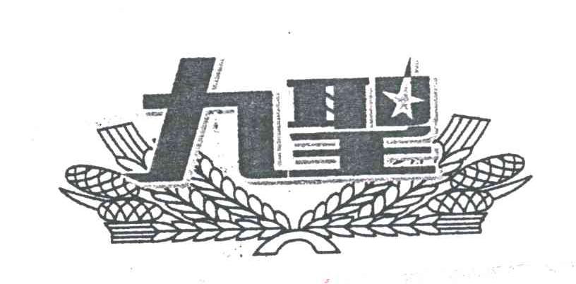 九圣