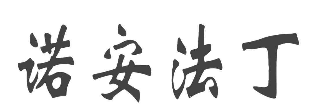 诺安法丁