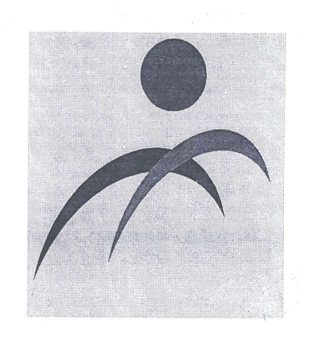 图形