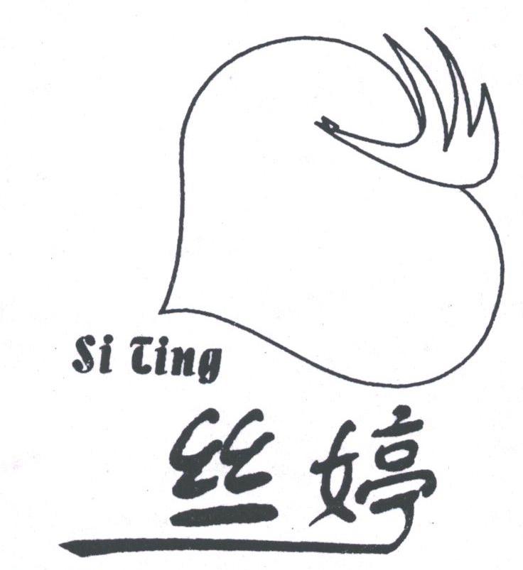 丝婷