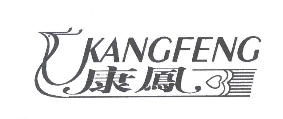 康凤;KANG FENG