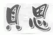 贝思