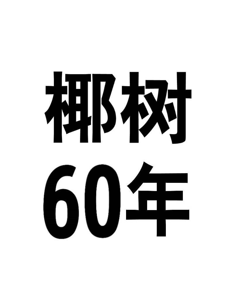 椰树60年