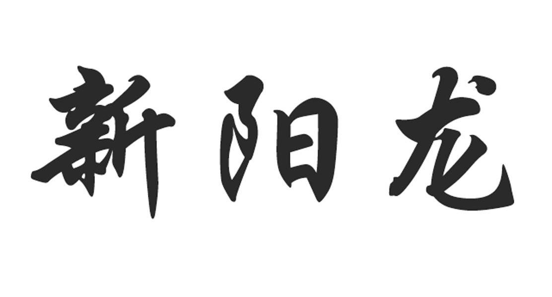 新阳龙