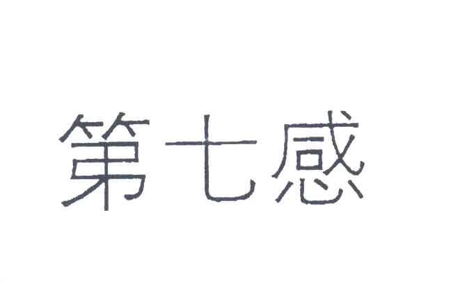 第七感
