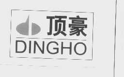 顶豪   DINGHO