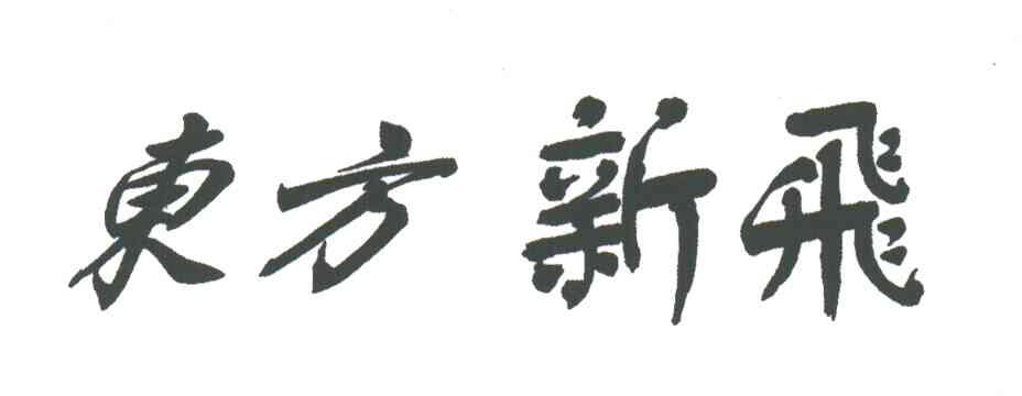东方新飞