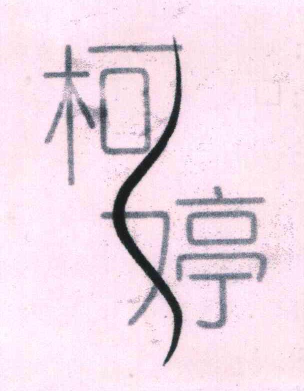 柯婷