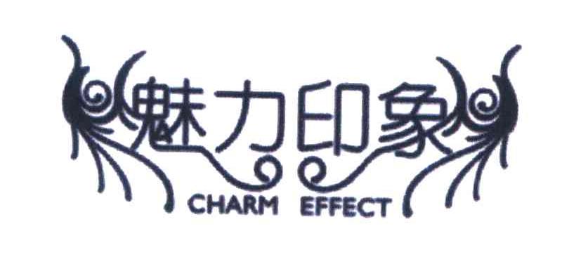 魅力印象;CHARM EFFECT