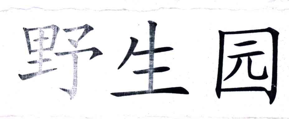 野生园