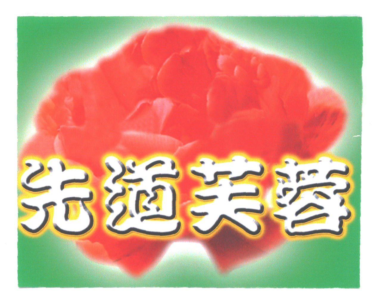 先道芙蓉