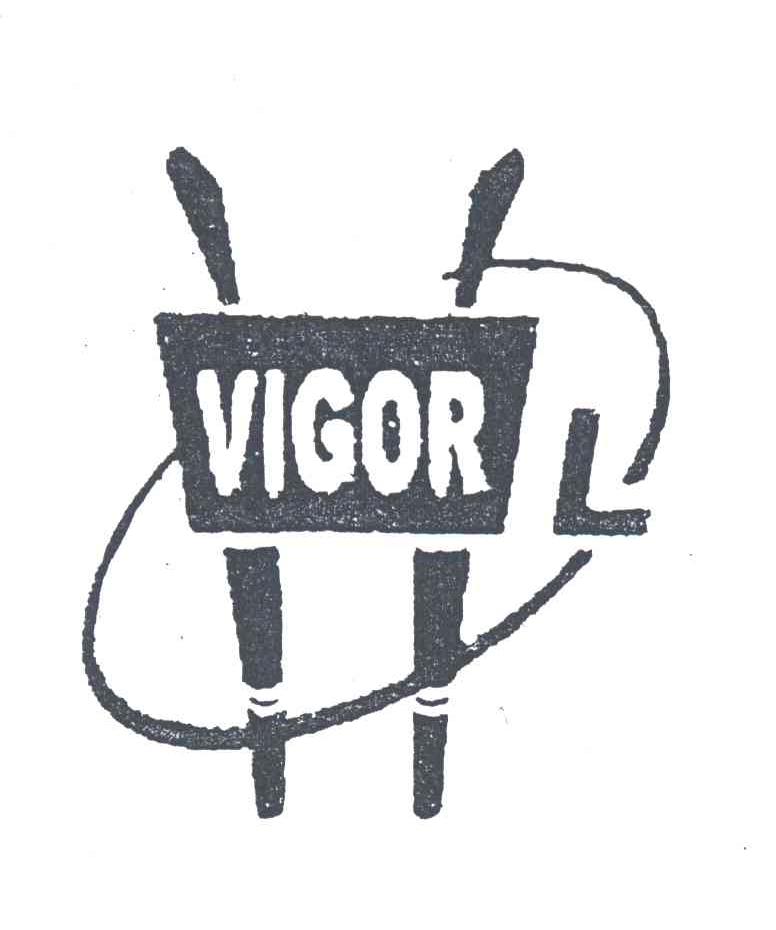 VIGOR L