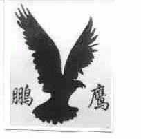 鹏鹰