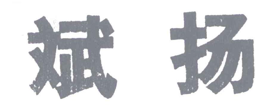 斌扬