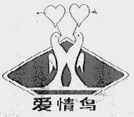 爱情鸟