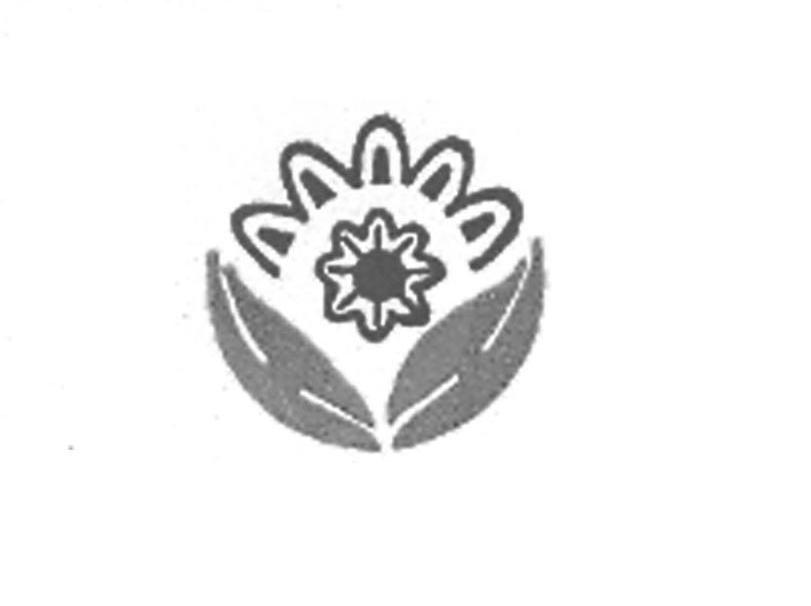 图形
