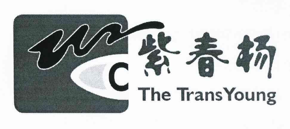 紫春杨 THE TRANS YOUNG