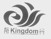 奇丹   KINGDOM