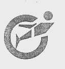 图形