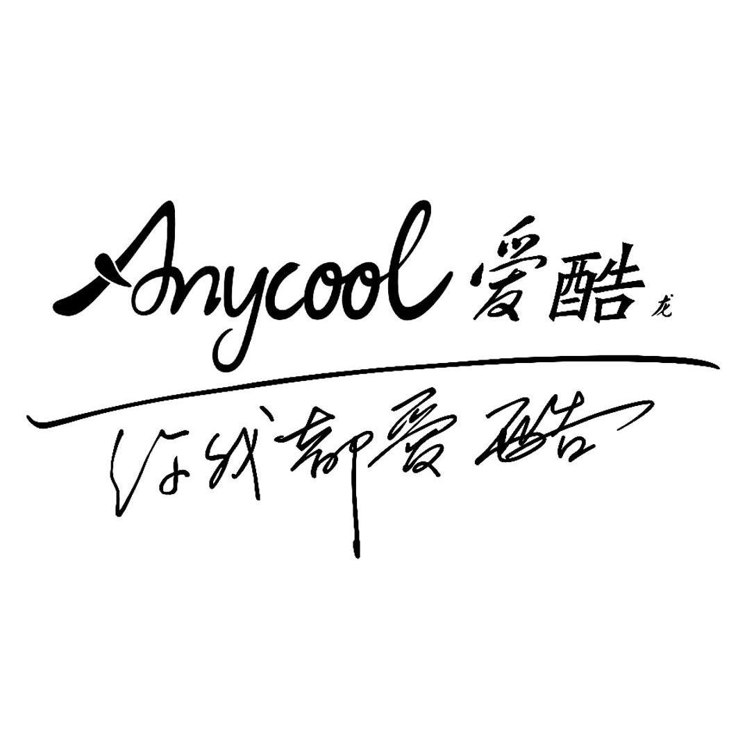 爱酷龙 你我都爱酷 ANYCOOL