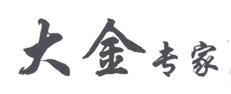 大金专家