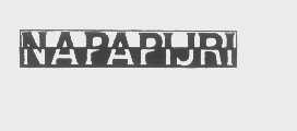 NAPAPIJRI