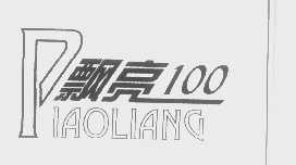 飘亮100
