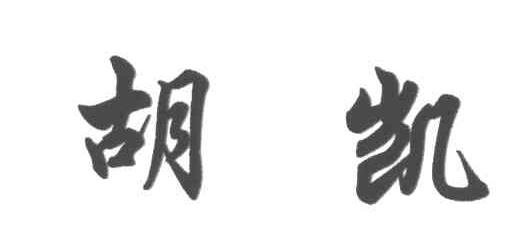 胡凯